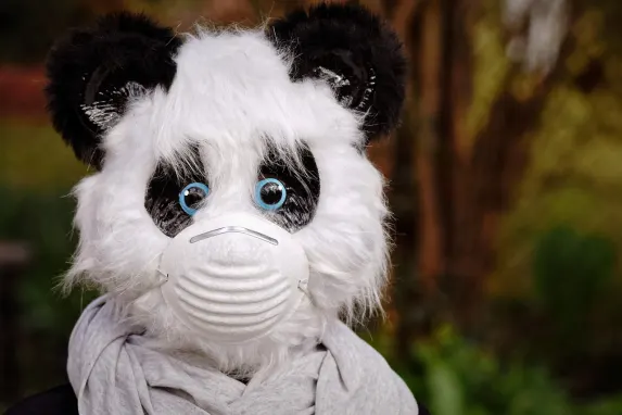 Vegadream Casino Tugi